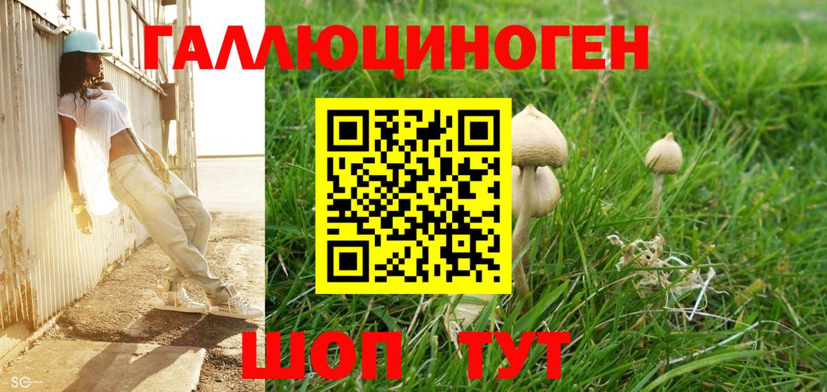 Псилоцибиновые грибы GOLDEN TEACHER Ржев